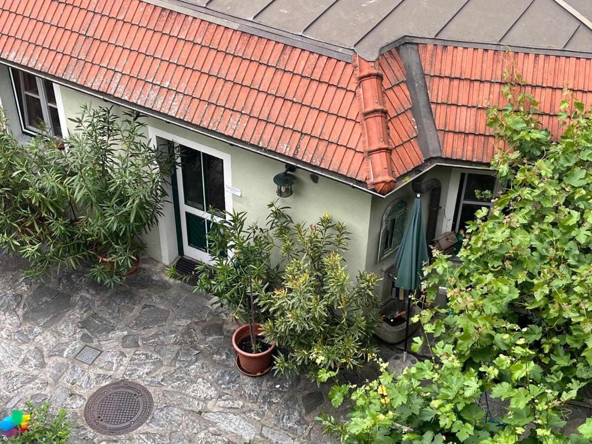Winzerhof - Gaestehaus Stoeger Дюрнштайн Экстерьер фото