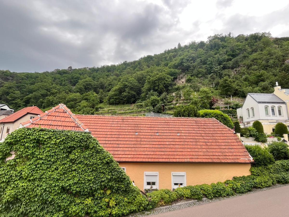 Winzerhof - Gaestehaus Stoeger Дюрнштайн Экстерьер фото